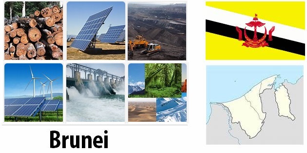 Brunei Energy and Environment Facts