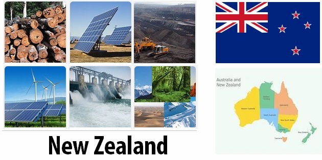 New Zealand Energy and Environment Facts