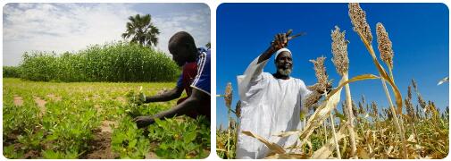 Sudan Agriculture